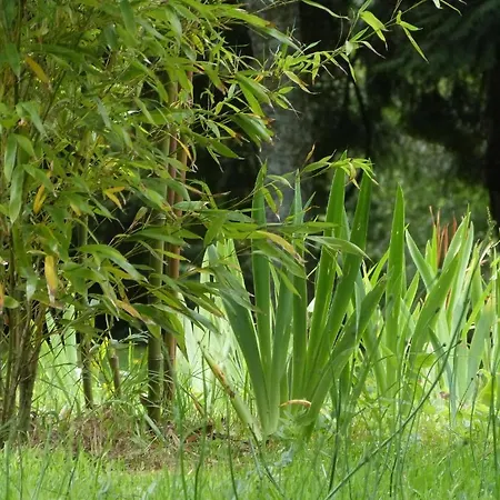 Bruce Castle Bed and Breakfast