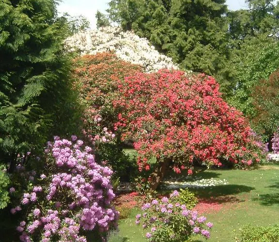 Bruce Castle Bed and breakfast 3*