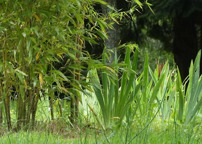 Bruce Castle Bed & Breakfast