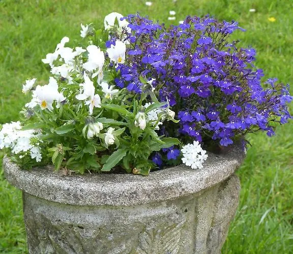 Bed & Breakfast Bruce Castle